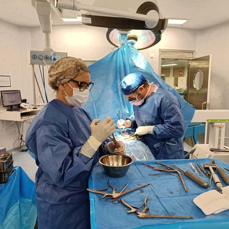 traumatologo Sevilla doctor Jose Quintana